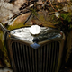 Illustration for article titled Another Massive Secret Vintage Junkyard Comes Under Fire